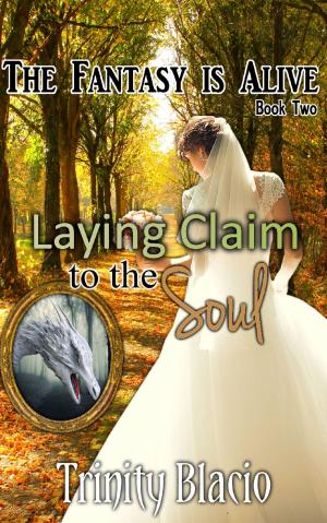 Cover of the book Laying Claim to the Soul by Adam Carpenter