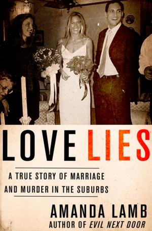 Cover of the book Love Lies by Rhett C. Bruno