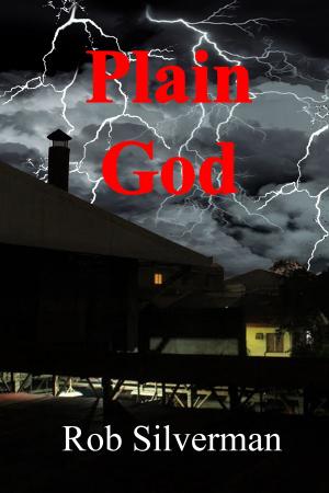 Cover of the book Plain God by D. M. O'Byrne