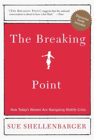Cover of the book The Breaking Point by Tom Segev