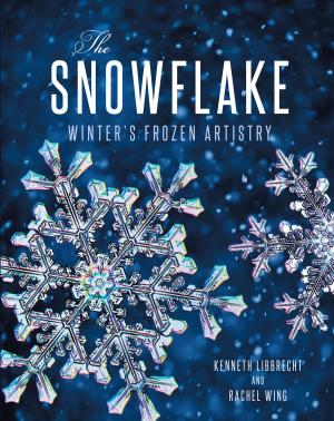 Cover of the book The Snowflake by Sara Cotner