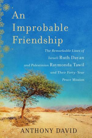 Cover of the book An Improbable Friendship by Billy O'Callaghan