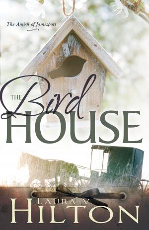 Book cover of The Birdhouse