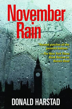 Cover of the book November Rain by Angela Clarke