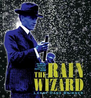 Cover of The Rain Wizard