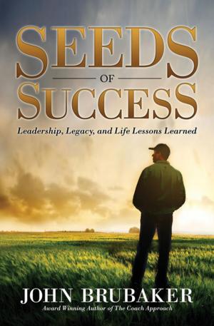 Cover of the book Seeds of Success by David Ertl