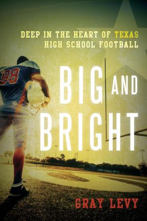Cover of the book Big and Bright by Veva Vonler