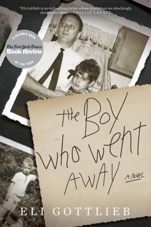 bigCover of the book The Boy Who Went Away by 