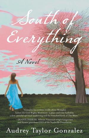 Book cover of South of Everything