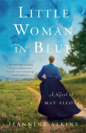 Cover of the book Little Woman in Blue by Barbara Santarelli