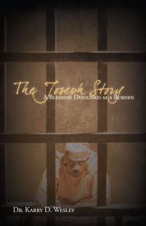 Cover of The Joseph Story: A Blessing Disguised as a Burden