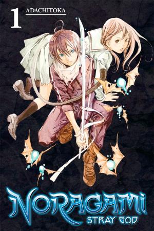 Cover of the book Noragami: Stray God by CLAMP