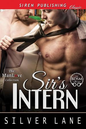 Cover of the book Sir's Intern by Cara Adams
