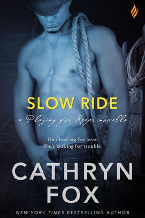 Cover of the book Slow Ride by Lori Ann Bailey