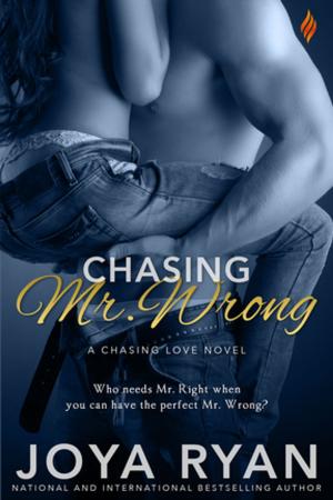 Cover of the book Chasing Mr. Wrong by Annie Seaton