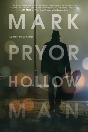 Cover of the book Hollow Man by Robert Rotstein