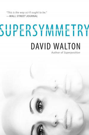 bigCover of the book Supersymmetry by 