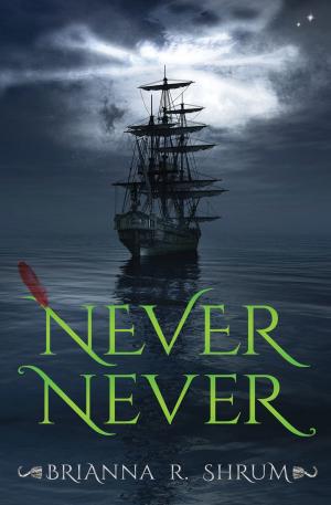 Cover of the book Never Never by Kelly Hashway