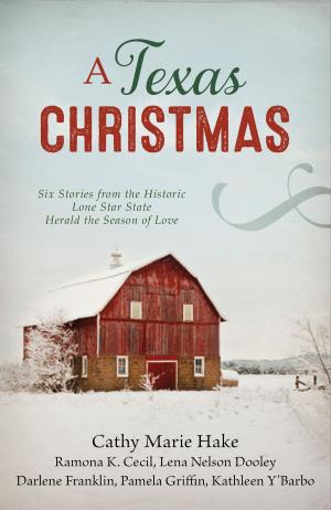 Book cover of A Texas Christmas