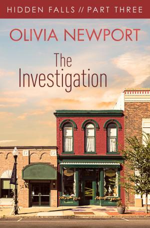 Book cover of Hidden Falls: The Investigation - Part 3
