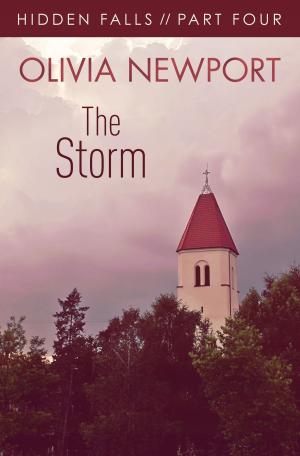 Book cover of Hidden Falls: The Storm - Part 4