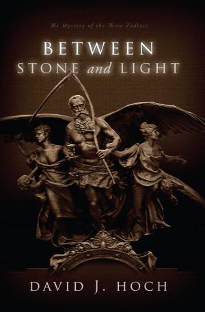 Cover of the book Between Stone and Light by Jill Beaudette