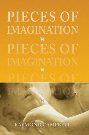 Cover of the book Pieces of Imagination by Dr. Richard Oppenlander