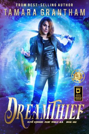 Cover of the book Dreamthief by Julie Wetzel