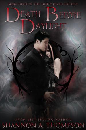 Cover of the book Death Before Daylight by Julie Wetzel