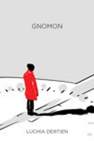 Cover of the book Gnomon by SJD Peterson