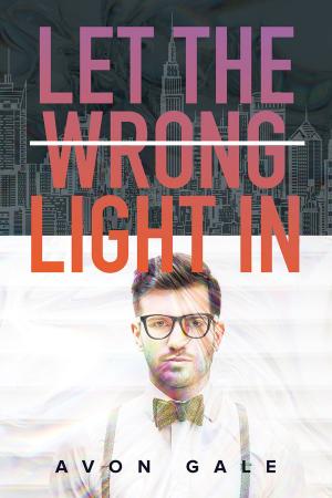 Cover of the book Let the Wrong Light In by B.A. Stretke