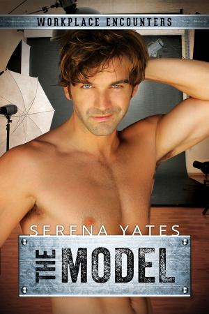 Cover of the book The Model by Mal Peters