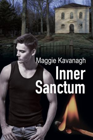 Cover of the book Inner Sanctum by Dirk Greyson