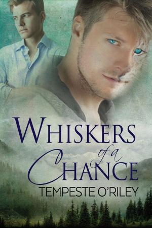 Cover of the book Whiskers of a Chance by Lisa Worrall