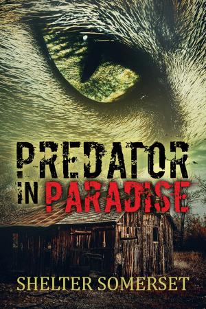 Cover of the book Predator in Paradise by BA Tortuga
