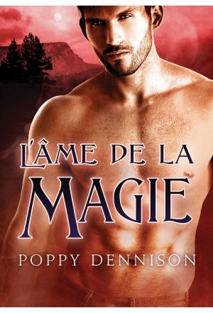 Cover of the book L'âme de la magie by KC Burn