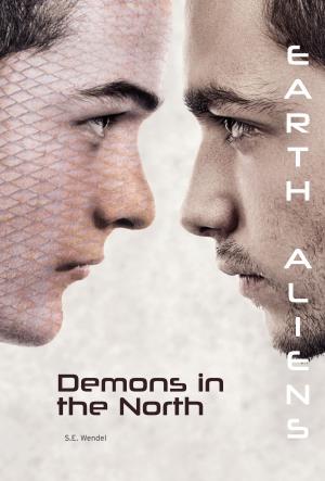 Cover of the book Demons in the North #2 by Lisa Mullarkey