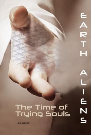 Cover of the book The Time of Trying Souls #3 by Grace Hansen