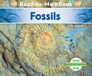 Cover of the book Fossils by Anastasia Suen