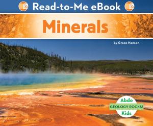 Cover of the book Minerals by Julie Murray