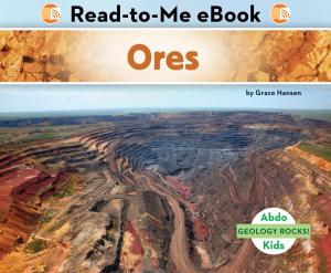 Cover of the book Ores by Nico Barnes