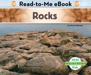 Cover of the book Rocks by Nicole M. Taylor