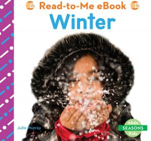 Cover of the book Winter by Lisa Mullarkey; John Mullarkey