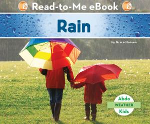 Cover of the book Rain by Nico Barnes