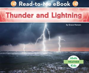 Cover of the book Thunder and Lightning by J.P. Bloom