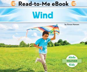 Cover of the book Wind by Julie Murray