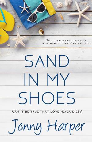 Cover of the book Sand in My Shoes by Alice Raine