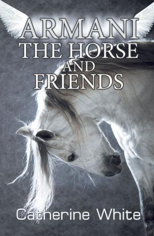 Cover of the book Armani the Horse and Friends by Edward Hanson