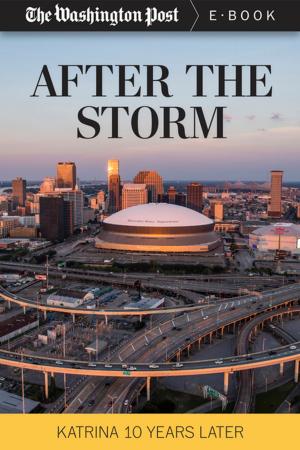 Cover of the book After the Storm by J-Wunder