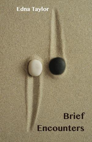 Cover of the book Brief Encounters by Zenda Vecchio